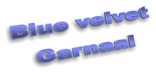 Blue velvet Garnaal