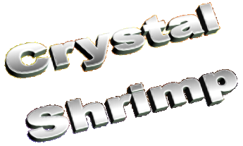 Crystal Shrimp