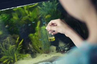 Aquariumrekenmachines: Bereken Waterwaarden, CO₂-niveaus en Viscapaciteit