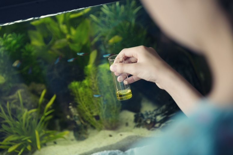 Waarom Waterparameters en Tijd Cruciaal Zijn voor Je Aquarium