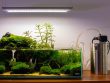 Hoe Kies Je de Juiste Filter voor Je Aquarium