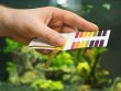 Waarom Schommelt de pH in Je Aquarium en Hoe Voorkom Je Dit