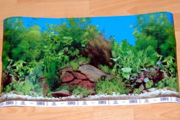 Waarom Aquariumverlichting Belangrijk Is voor Planten en Vissen