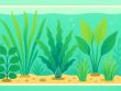 Welke Waterplanten Zijn Makkelijk te Onderhouden