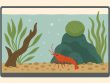 Een Caridina speciaalaquarium inrichten